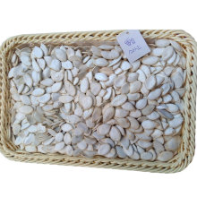 Low Price new harvest pumpkin seeds buyers with high quality